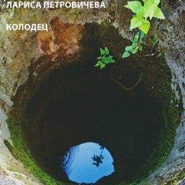 Книга Колодец