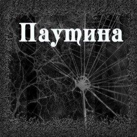 Книга Паутина