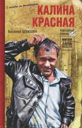 Книга Критики