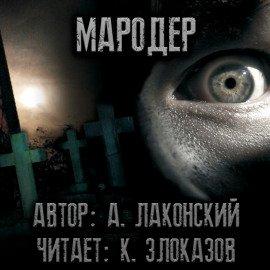 Книга Мародёр