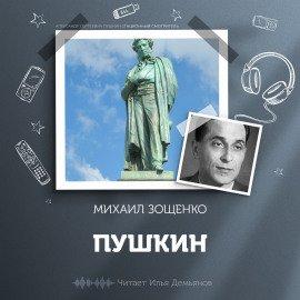 Книга Пушкин