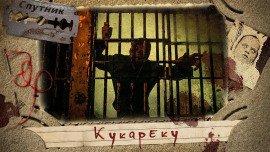 Книга Кукареку