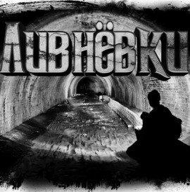 Книга Ливнёвки
