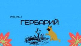 Книга Гербарий