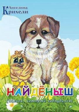 Книга Найденыш