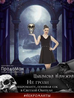Книга Не грози некроманту, попивая сок в Светлой Обители