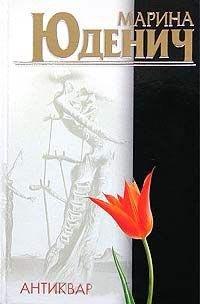 Книга Антиквар