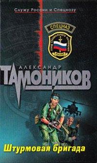 Книга Штурмовая бригада