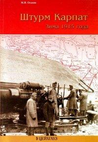 Книга Штурм Карпат. Зима 1915 года