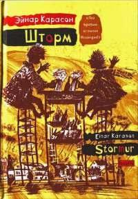 Книга Шторм