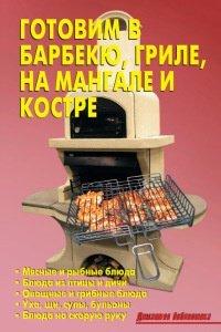 Книга Готовим в барбекю, гриле, на мангале и костре