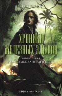 Книга Тьма, выкованная в огне