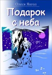 Книга Подарок с неба