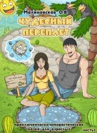 Книга Чудесный переплет. Часть 2