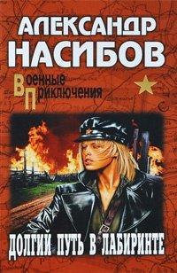 Книга Долгий путь в лабиринте