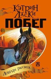 Книга Побег
