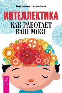 Книга Интеллектика. Как работает ваш мозг