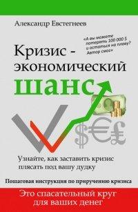 Книга Кризис