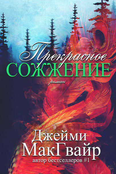 Книга Прекрасное сожжение 