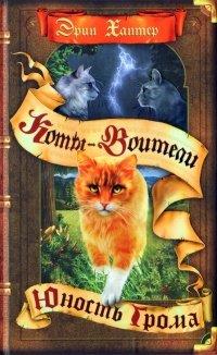 Книга Юность Грома