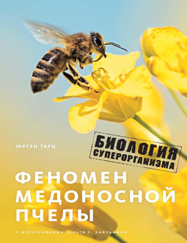 Книга Феномен медоносной пчелы. Биология суперорганизма 