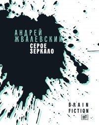 Книга Серое зеркало