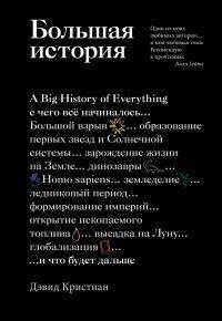 Книга Большая история