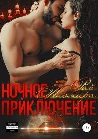 Книга Ночное приключение