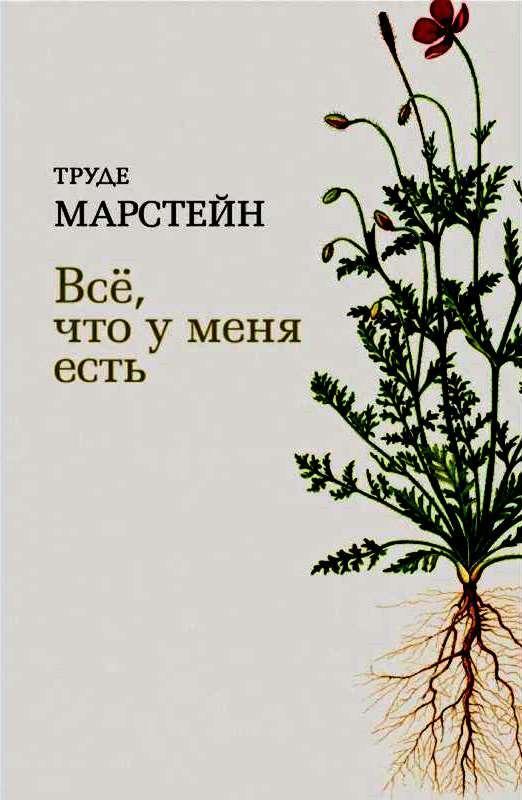Книга Всё, что у меня есть 