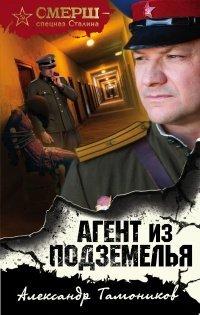 Книга Агент из подземелья