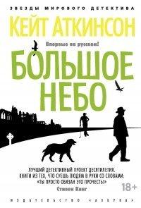 Книга Большое небо