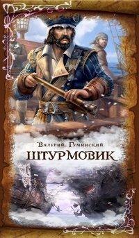 Книга Штурмовик