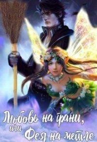 Книга Любовь на грани, или Фея на метле