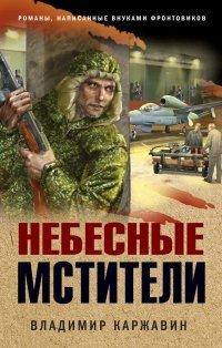 Книга Небесные мстители