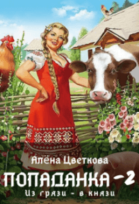 Книга Попаданка-2. Из грязи - в князи
