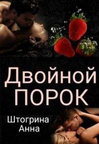 Книга Двойной порок
