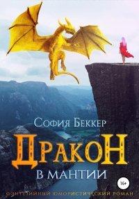 Книга Дракон в мантии