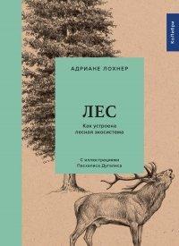 Книга Лес. Как устроена лесная экосистема