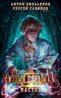 Книга Тайный паладин 4