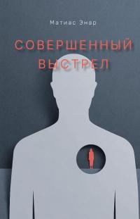 Книга Совершенный выстрел 