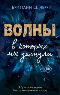 Книга Волны, в которых мы утонули