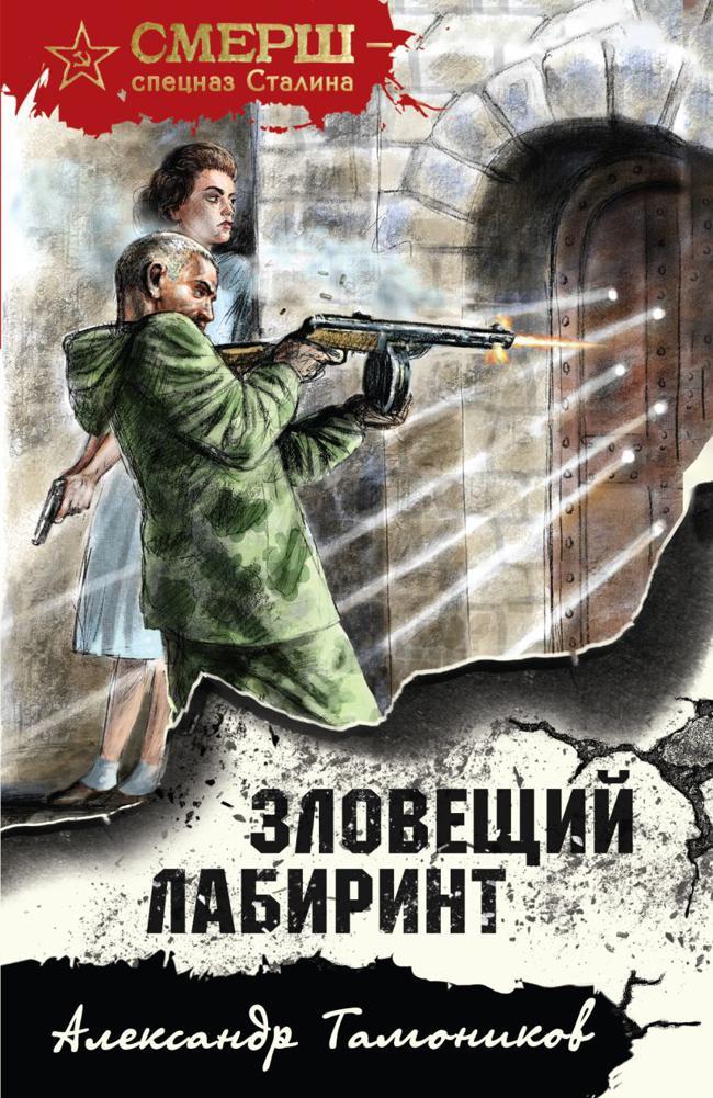 Книга Зловещий лабиринт 