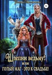 Книга Шлепни ведьму! или Голый маг – это к свадьбе!