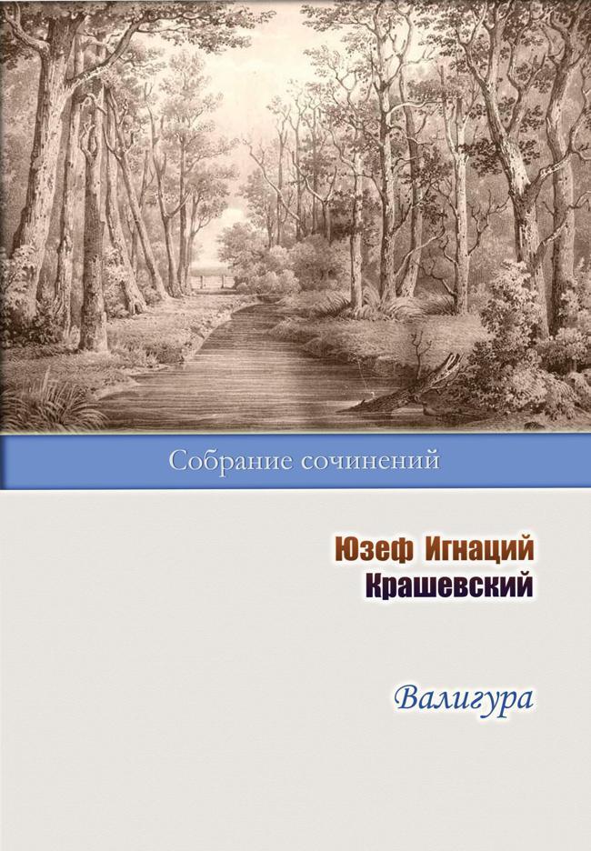 Книга Валигура