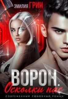 Книга Ворон. Осколки нас 