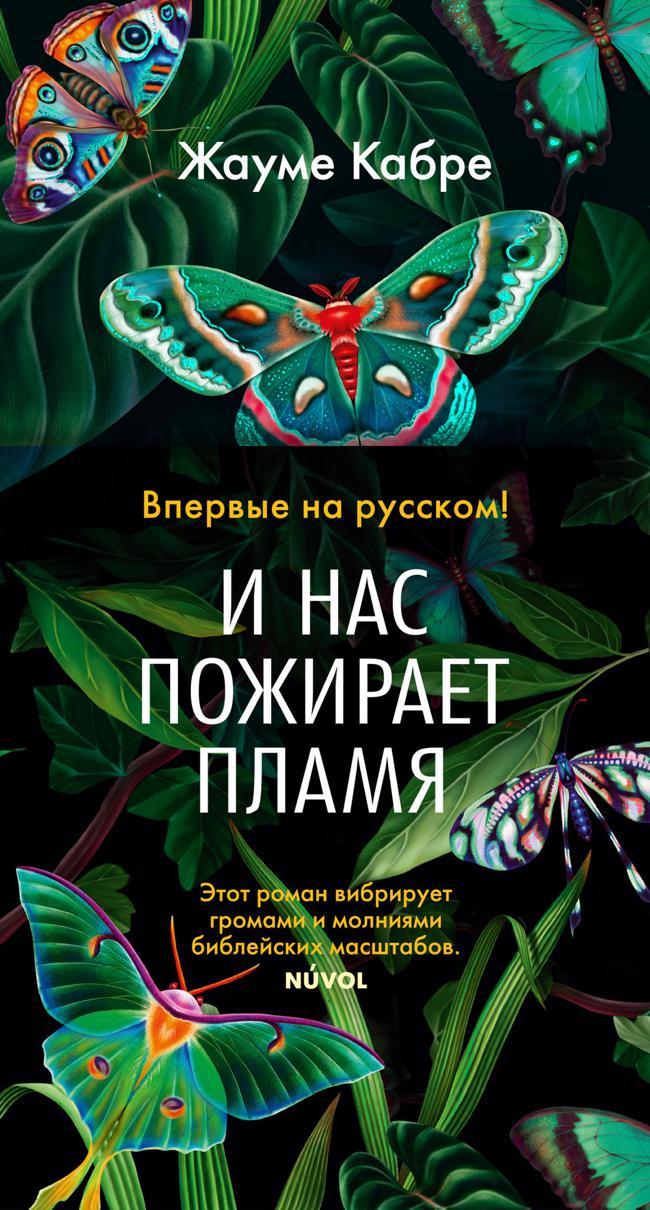Книга И нас пожирает пламя 