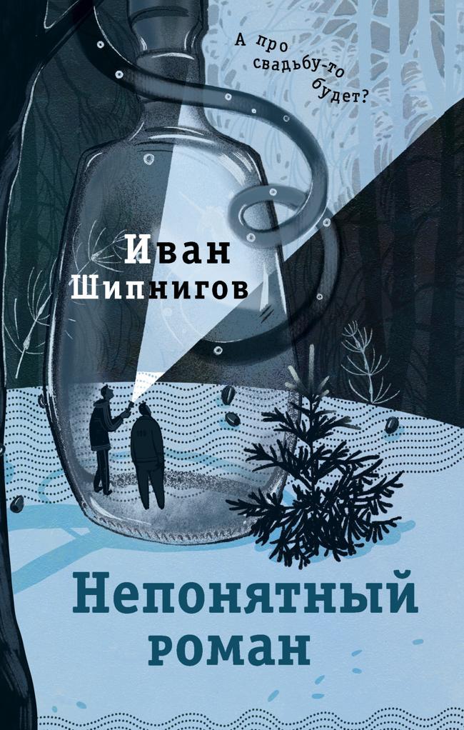 Книга Непонятный роман 