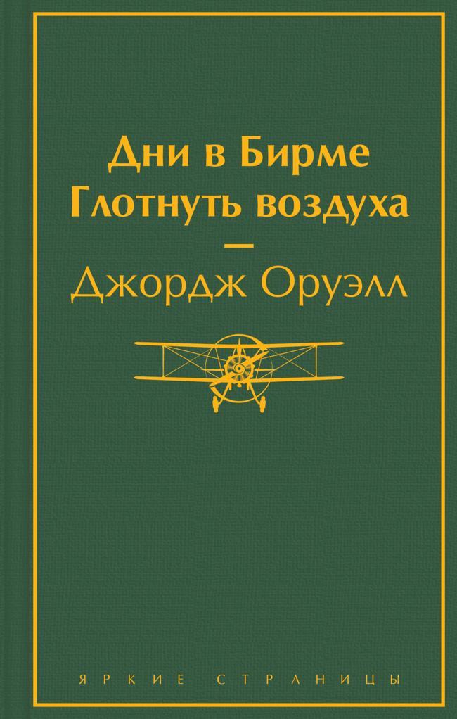 Книга Дни в Бирме. Глотнуть воздуха 