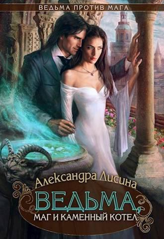 Книга Ведьма, маг и каменный котел 