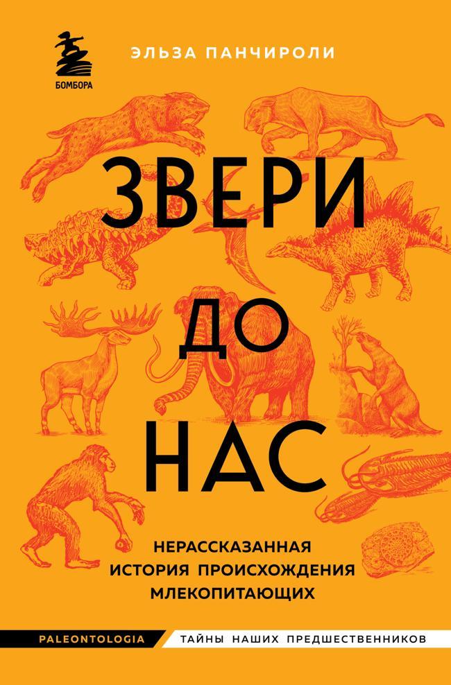 Книга Звери до нас. Нерассказанная история происхождения млекопитающих 